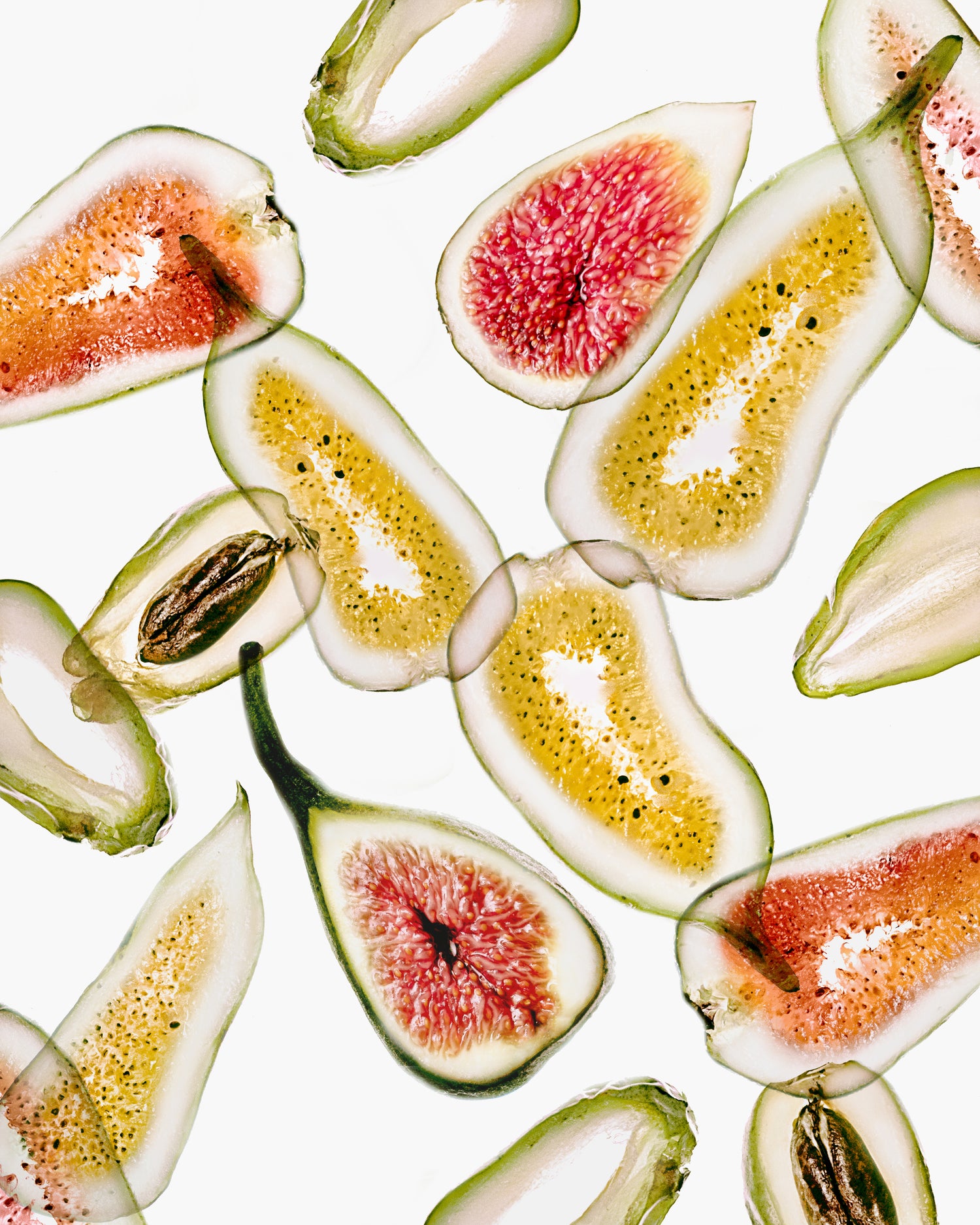 Nourish Hair Oil